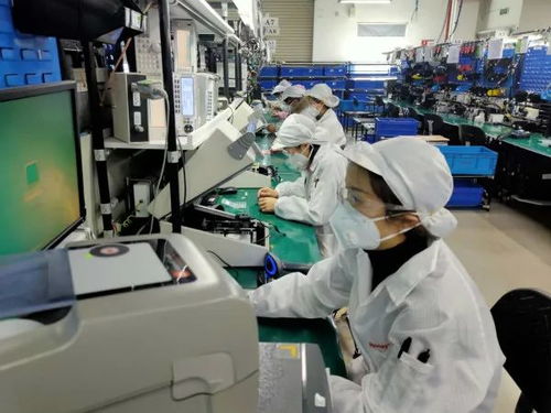 數(shù)據(jù)驅(qū)動(dòng)復(fù)蘇 2月失業(yè)率回落至6.2% 全面復(fù)工與數(shù)據(jù)處理服務(wù)助力勞動(dòng)力市場回暖